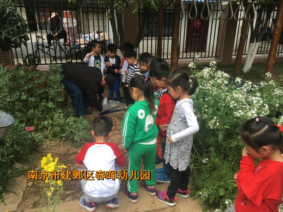 附件：IMG_2760.JPG