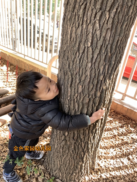 附件：IMG_1971.JPG