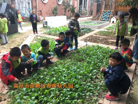 附件：IMG_0946.JPG