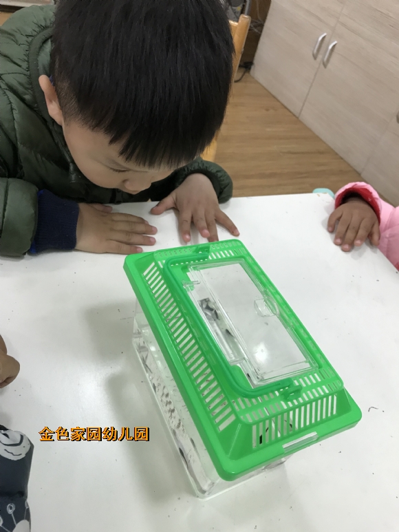 附件：IMG_6429.JPG