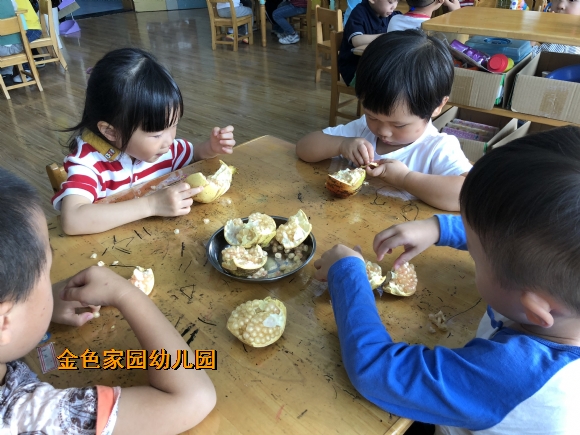 附件：IMG_1388.JPG