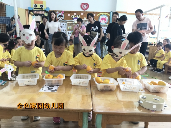 附件：IMG_1735.JPG