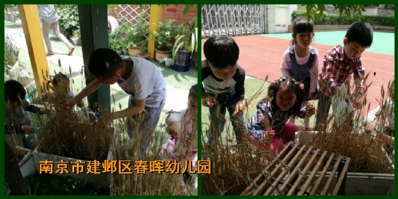 附件：fa1.jpg