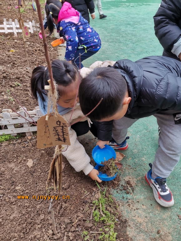 附件：IMG_20210317_112815.jpg