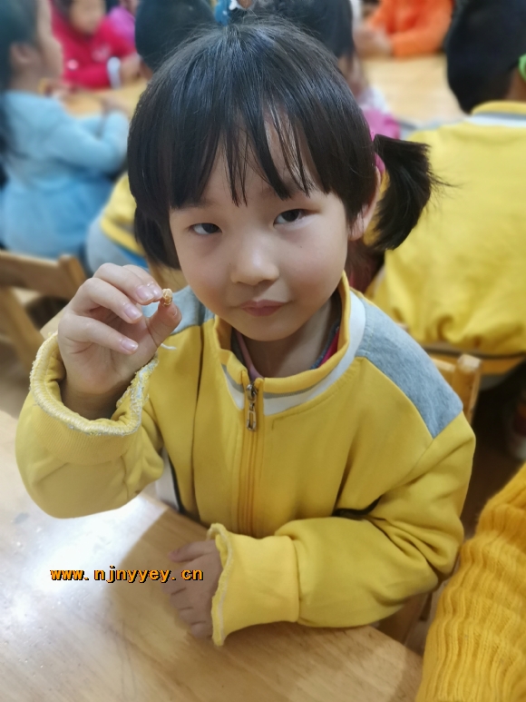 附件：IMG_20210413_101006.jpg