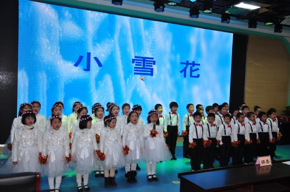 附件：DSC_9500.JPG