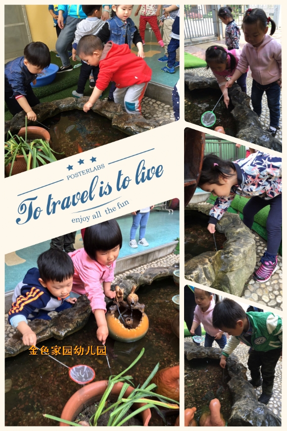 附件：IMG_7263.JPG