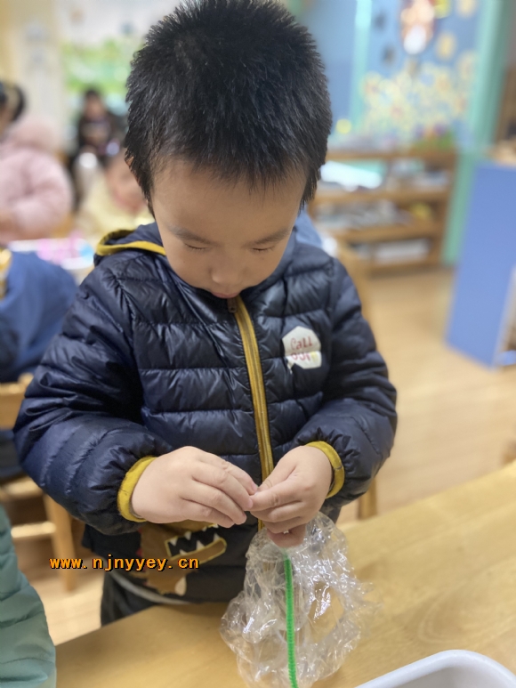 附件：IMG_8080.JPG