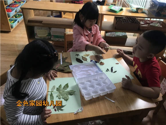 附件：IMG_8332.JPG