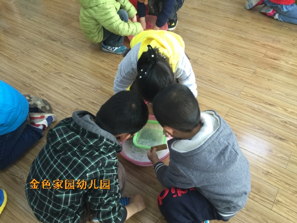 附件：IMG_4408.JPG