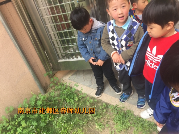 附件：QQ图片20190418203414.jpg