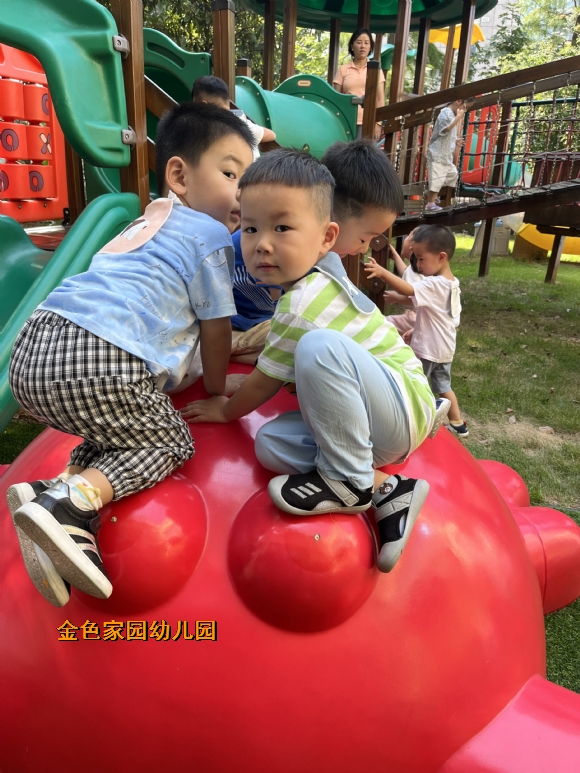 附件：IMG_1624(20220916-102457).JPG