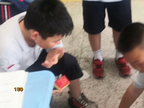 附件：mmexport1623308620120.jpg