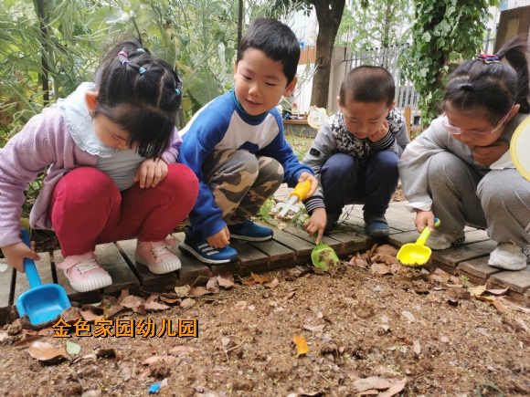 附件：IMG_20220427_093942.jpg