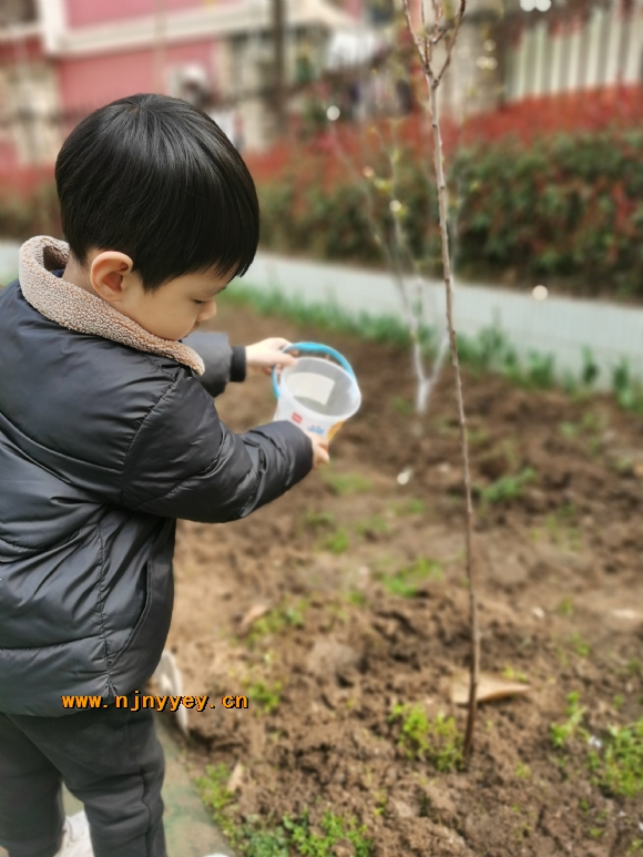 附件：IMG_20210310_101751.jpg