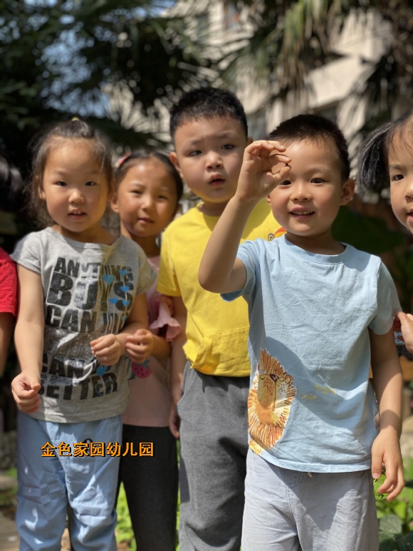 附件：IMG_9106.JPG
