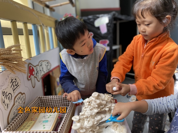 附件：IMG_3549.JPG