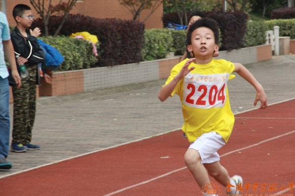 附件：8.JPG