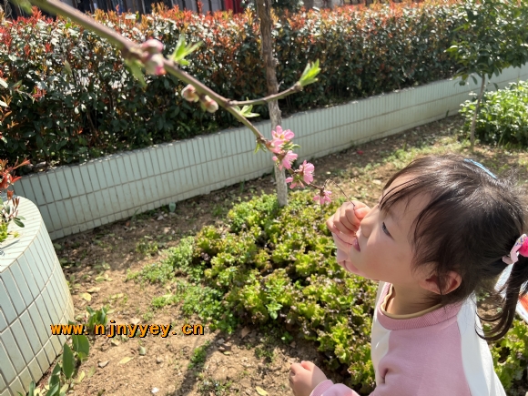 附件：IMG_4313.JPG