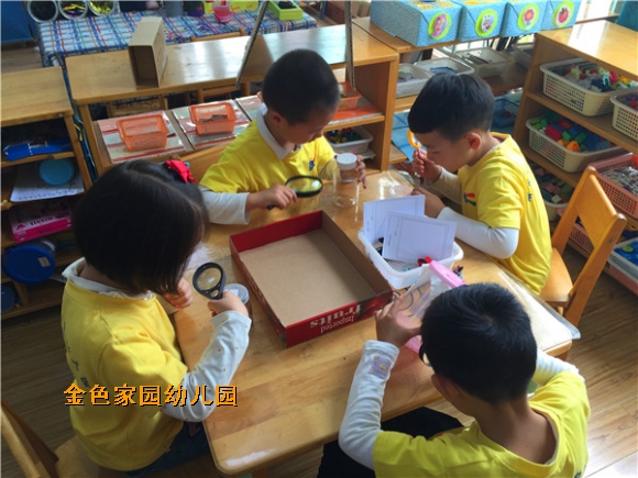 附件：IMG_2225.jpg