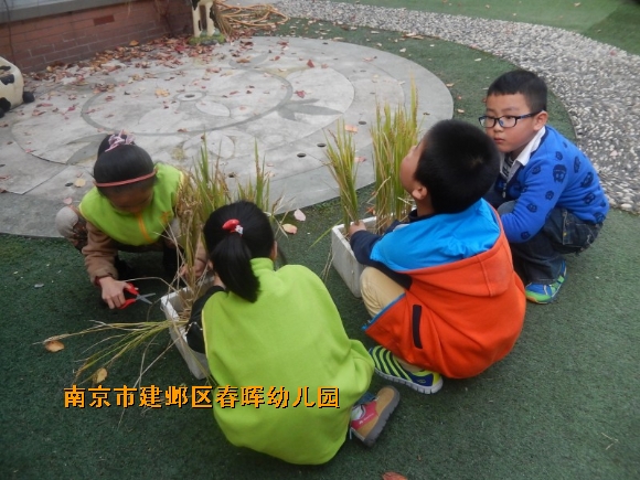 附件：conew_dscn4594.jpg