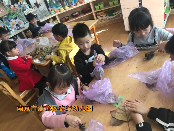 附件：IMG_0771.JPG
