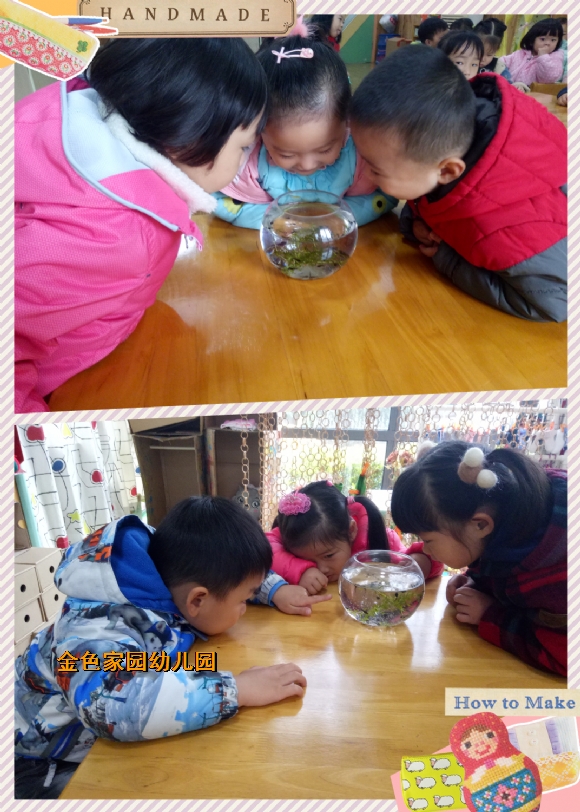 附件：pt2017_03_30_15_41_00.jpg