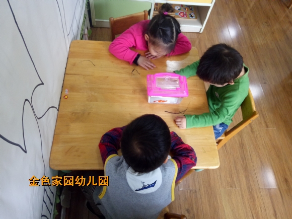 附件：IMG20170425101045.jpg