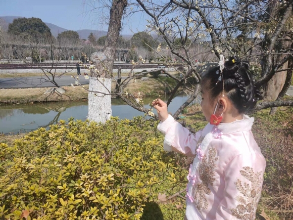 附件：12.jpg