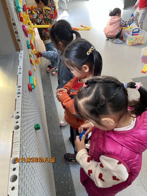附件：IMG_4967.JPG