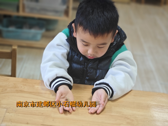 附件：IMG_20240408_095928.jpg