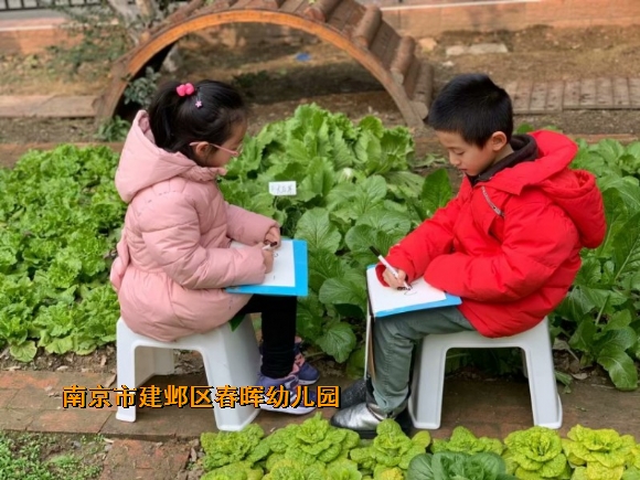 附件：conew_img_6825.jpg