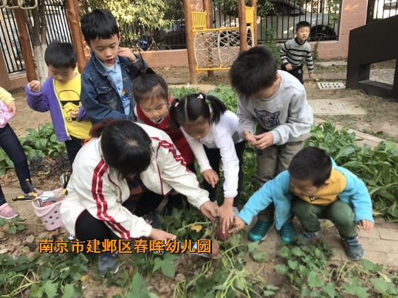 附件：conew_img_3607.jpg