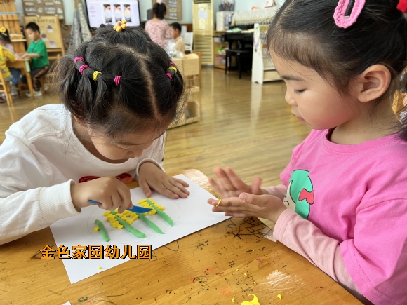 附件：IMG_9884.JPG