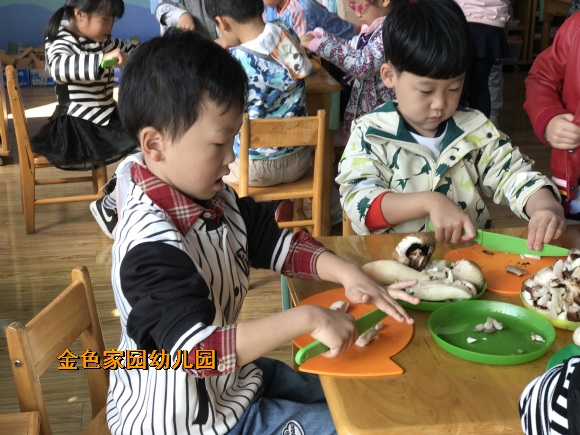 附件：IMG_7470.JPG