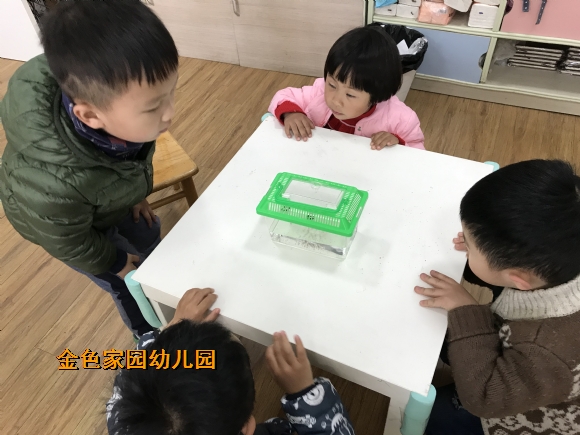 附件：IMG_6427.JPG