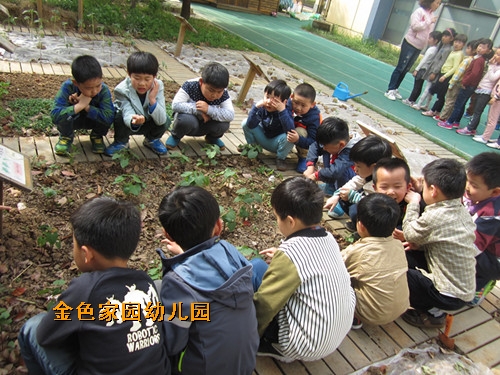 附件：AAA.jpg