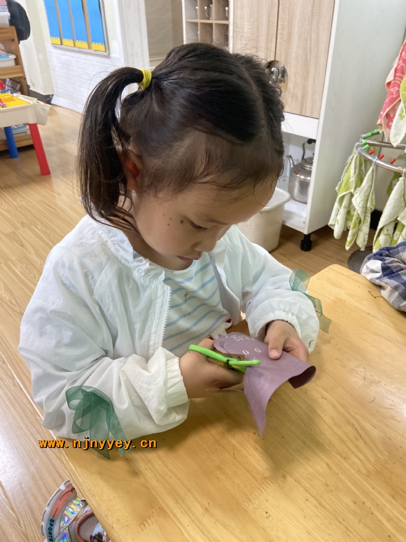 附件：IMG_2874.JPG