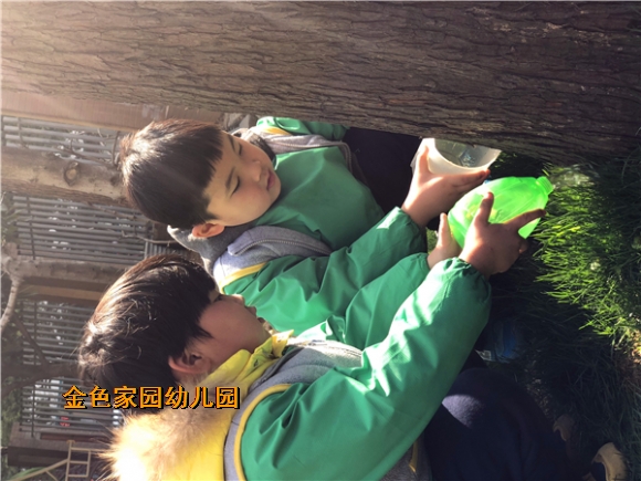 附件：537685568813111506.jpg