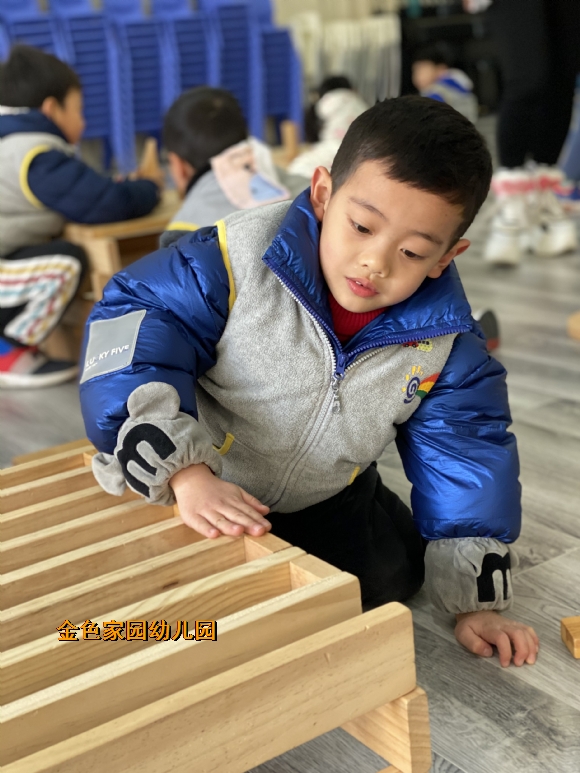 附件：IMG_3704.JPG