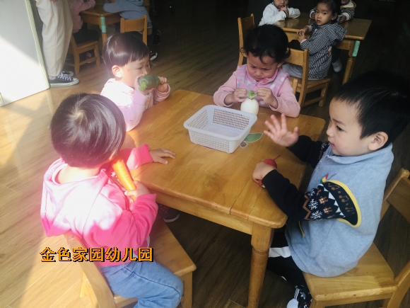 附件：IMG_E9513.JPG