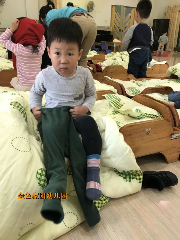 附件：IMG_8285(1).JPG