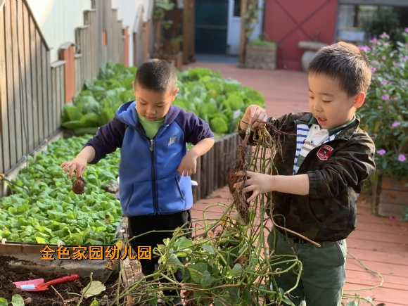 附件:mmexport1668389529069.jpg 附件:mmexport1668389529069.jpg