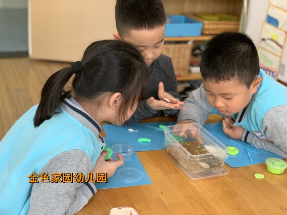 附件:af71c774bb96afab1b72cb2b6e38b99.jpg 附件:af71c774bb96afab1b72cb2b6e38b99.jpg
