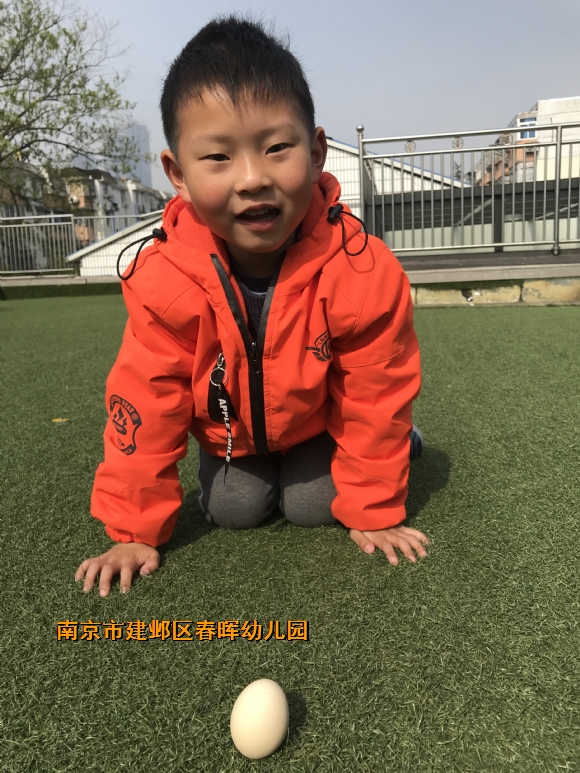 附件：IMG_6615.JPG