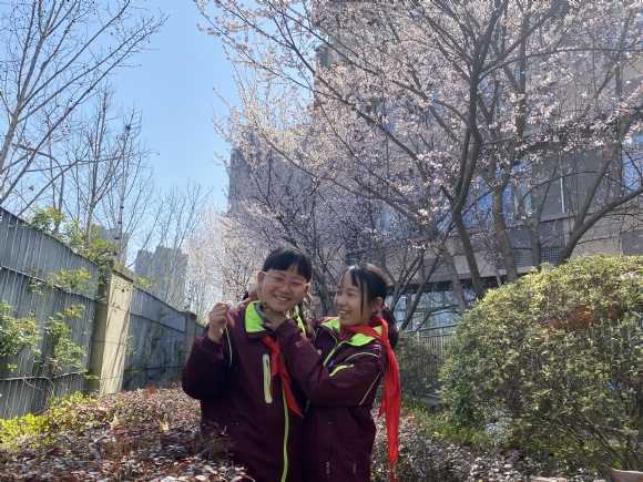 附件：ED17C5E270F7A9DD5D16B310D884298E.png