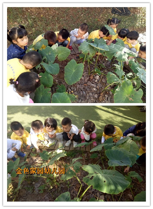 附件：2.jpg