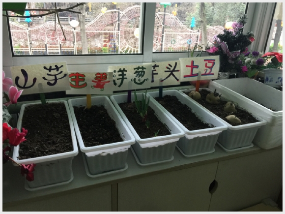 建邺教育信息网