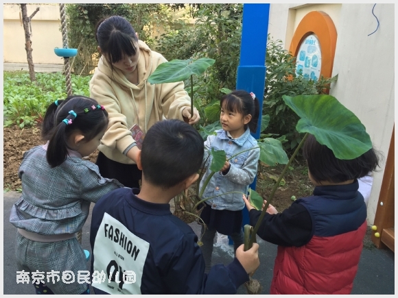 建邺教育信息网