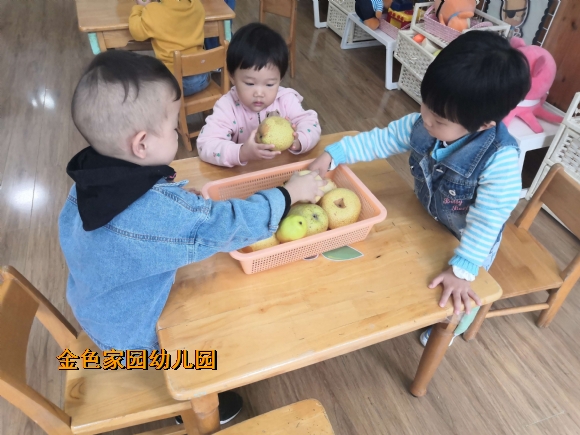 附件：4aa07d92-02b0-4520-a5f7-71f5be5caea0.jpg
